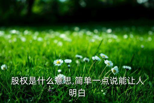  股權(quán)是什么意思,簡單一點(diǎn)說能讓人明白