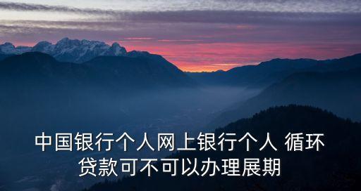 中國銀行網絡循環(huán)貸款