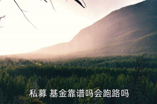 私募合伙制基金安全嗎,在有限合伙制的私募股權基金中,投資者