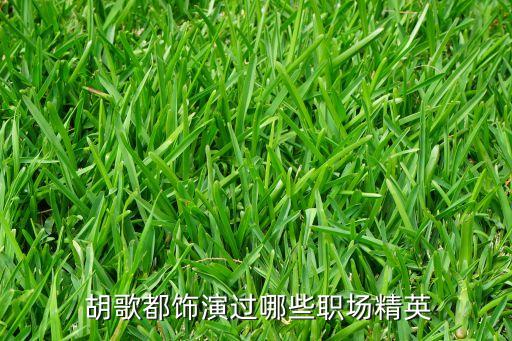  胡歌都飾演過(guò)哪些職場(chǎng)精英