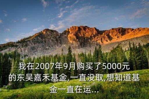 諾安先進制造股票基金經理劉魁