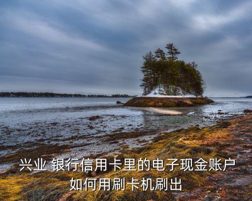  興業(yè) 銀行信用卡里的電子現金賬戶如何用刷卡機刷出