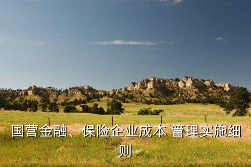 國(guó)營(yíng)金融、保險(xiǎn)企業(yè)成本 管理實(shí)施細(xì)則