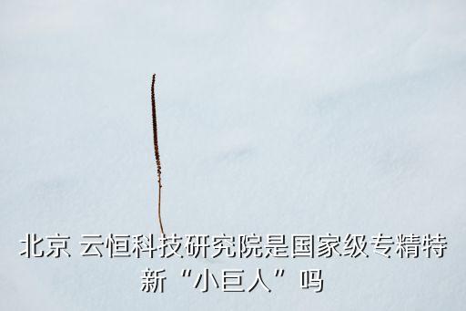 北京 云恒科技研究院是國家級(jí)專精特新“小巨人”嗎