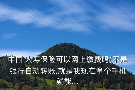 中國 人壽保險可以網(wǎng)上繳費嗎(不是 銀行自動轉(zhuǎn)賬,就是我現(xiàn)在拿個手機就能...