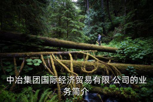 中冶集團國際經(jīng)濟貿(mào)易有限 公司的業(yè)務(wù)簡介