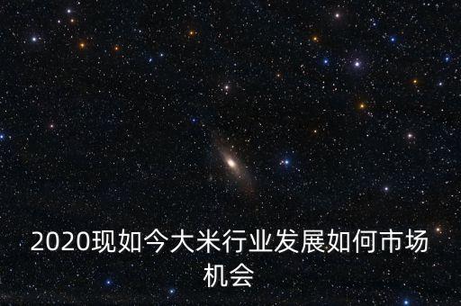 2020現(xiàn)如今大米行業(yè)發(fā)展如何市場機(jī)會(huì)