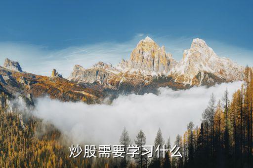 炒股需要學習什么
