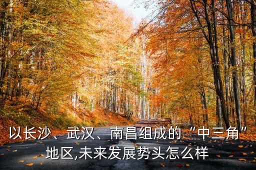以長(zhǎng)沙、武漢、南昌組成的“中三角”地區(qū),未來(lái)發(fā)展勢(shì)頭怎么樣