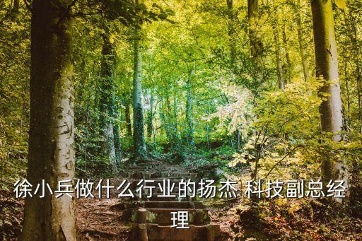 徐小兵做什么行業(yè)的揚杰 科技副總經(jīng)理