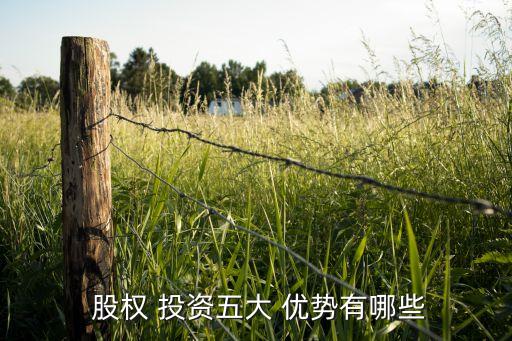 發(fā)達(dá)國(guó)家在非股權(quán)投資的優(yōu)勢(shì),東南亞吸引發(fā)達(dá)國(guó)家來投資市場(chǎng)的優(yōu)勢(shì)