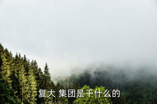  復(fù)大 集團是干什么的