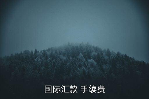國際匯款 手續(xù)費(fèi)