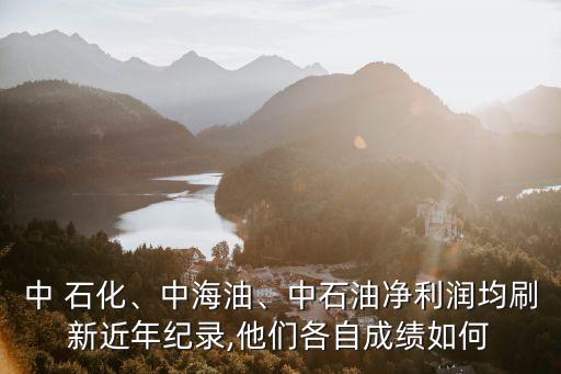 中 石化、中海油、中石油凈利潤均刷新近年紀錄,他們各自成績如何