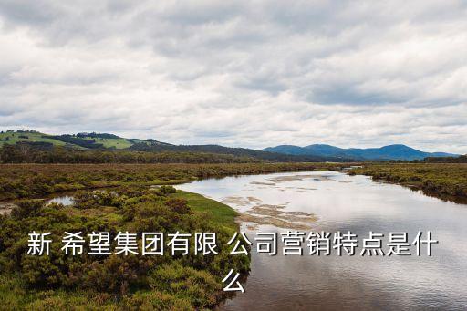 新 希望集團(tuán)有限 公司營銷特點是什么