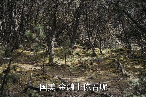 國美金融公司待遇,央企金融公司待遇怎么樣?