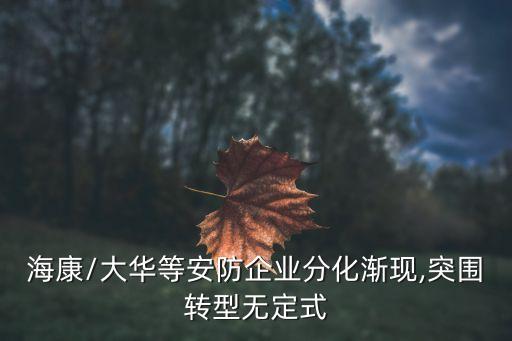 ?？?大華等安防企業(yè)分化漸現(xiàn),突圍轉(zhuǎn)型無定式