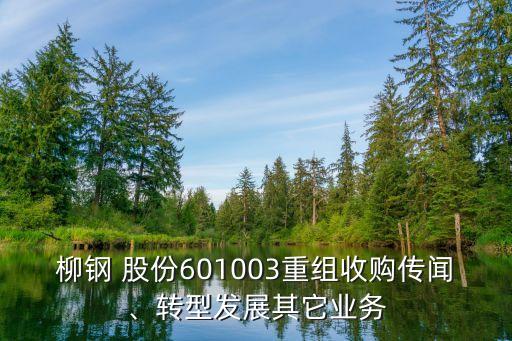 柳鋼 股份601003重組收購傳聞、轉(zhuǎn)型發(fā)展其它業(yè)務
