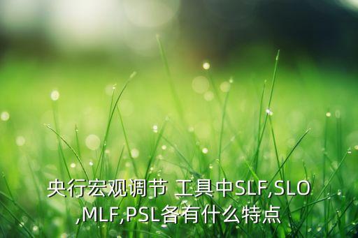 央行宏觀調節(jié) 工具中SLF,SLO,MLF,PSL各有什么特點