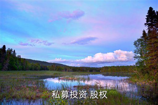  私募投資 股權