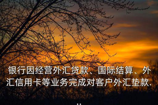  銀行因經(jīng)營外匯貸款、國際結(jié)算、外匯信用卡等業(yè)務(wù)完成對客戶外匯墊款...