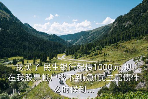 我買了 民生銀行配債1000元,現在我股票帳戶找不到,急!民生配債什么時候到...