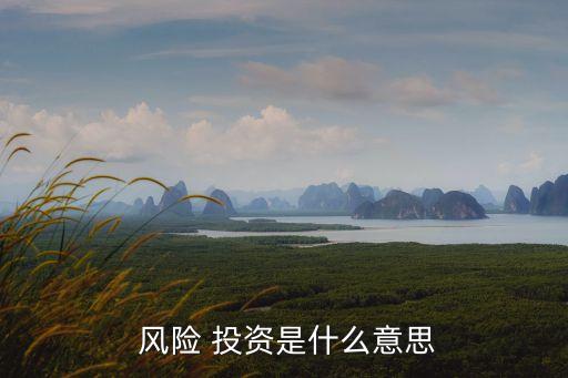 風險投資對互聯(lián)網(wǎng)的影響,機構投資者對風險投資的影響
