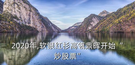 2020年,軟銀紅杉高瓴鼎暉開(kāi)始“炒股票”
