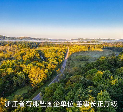 浙建集團董事長,浙建投資集團董事長