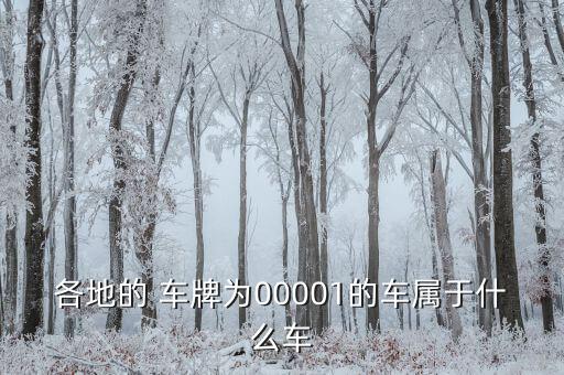 各地的 車(chē)牌為00001的車(chē)屬于什么車(chē)