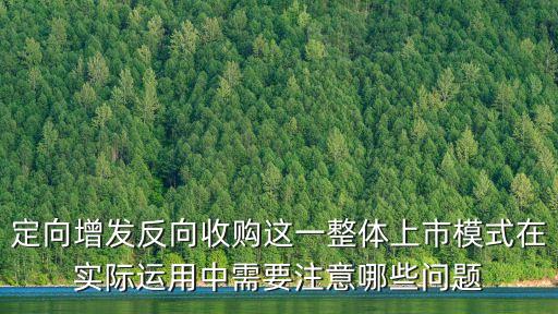 定向增發(fā)反向收購這一整體上市模式在實(shí)際運(yùn)用中需要注意哪些問題