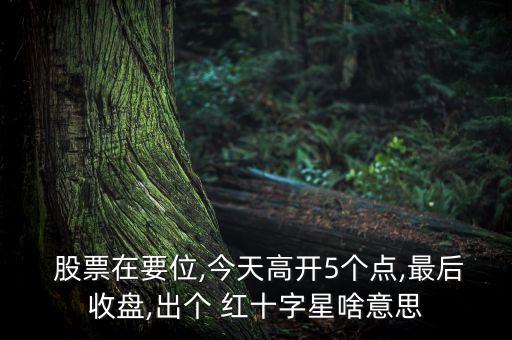  股票在要位,今天高開5個點(diǎn),最后收盤,出個 紅十字星啥意思