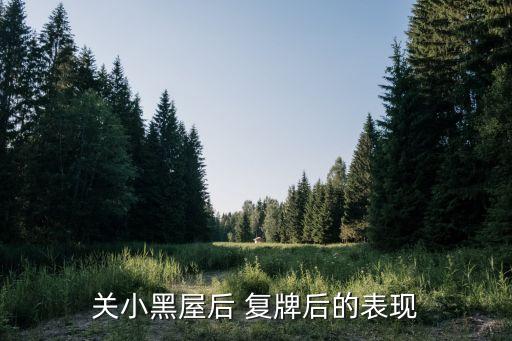 關小黑屋后 復牌后的表現(xiàn)