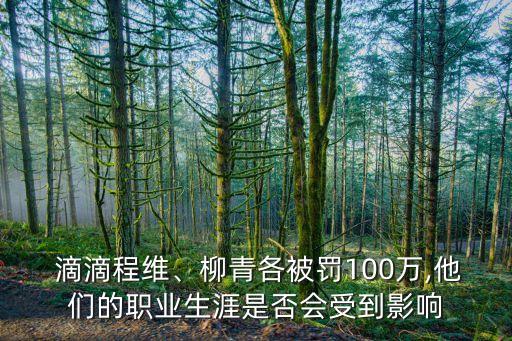  滴滴程維、柳青各被罰100萬,他們的職業(yè)生涯是否會受到影響