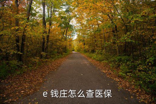 e 錢(qián)莊怎么查醫(yī)保