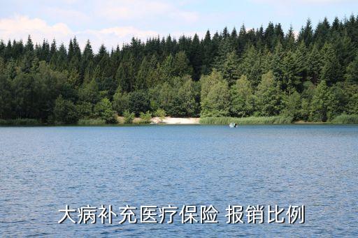  大病補(bǔ)充醫(yī)療保險(xiǎn) 報(bào)銷(xiāo)比例