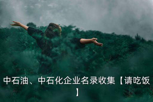 中石油、中石化企業(yè)名錄收集【請(qǐng)吃飯】
