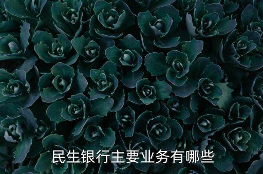  民生銀行主要業(yè)務有哪些