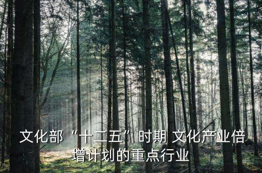  文化部“十二五”時期 文化產業(yè)倍增計劃的重點行業(yè)
