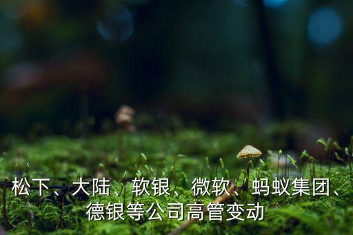松下、大陸、軟銀、微軟、螞蟻集團、德銀等公司高管變動