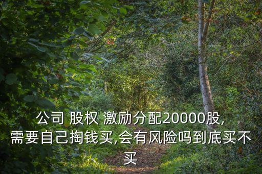 員工購買公司股權(quán)激勵注意事項(xiàng)