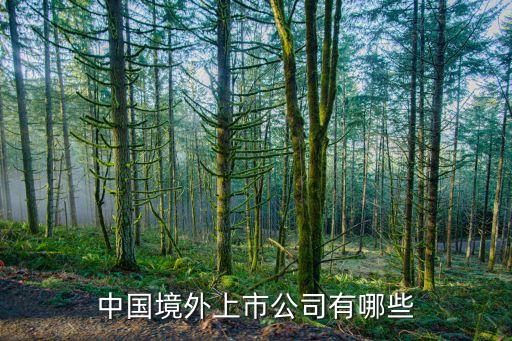 上海眾美聯(lián)集團,美聯(lián)集團簡介董事長