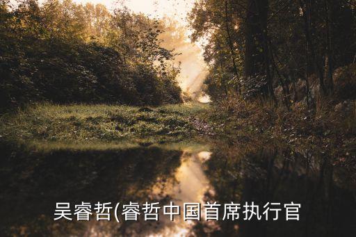 吳睿哲(睿哲中國首席執(zhí)行官