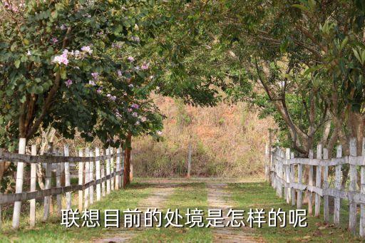  聯想目前的處境是怎樣的呢