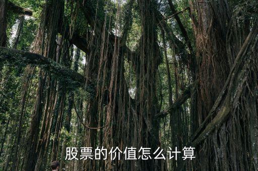  股票的價值怎么計算