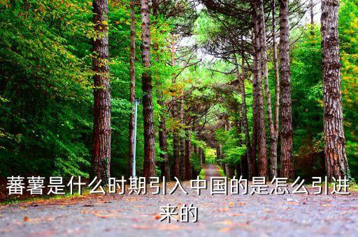 蕃薯是什么時(shí)期引入中國(guó)的是怎么引進(jìn)來的