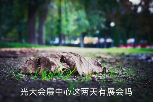 中國上海國際婚紗攝影器材展覽會,上?；榧啍z影器材展2023時間