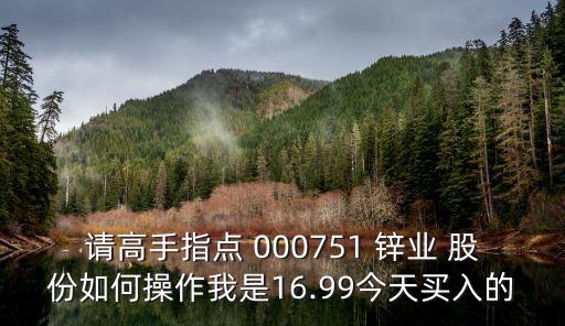 請(qǐng)高手指點(diǎn) 000751 鋅業(yè) 股份如何操作我是16.99今天買入的