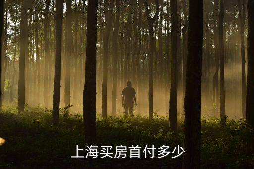 上?？捶啃枰诲X嗎