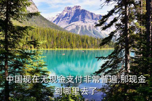 中國現(xiàn)在無現(xiàn)金支付非常普遍,那現(xiàn)金到哪里去了